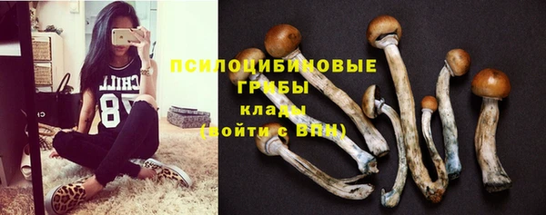 мдма Богородицк