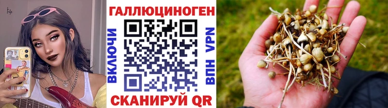 купить наркотики сайты  Самара  Псилоцибиновые грибы ЛСД 